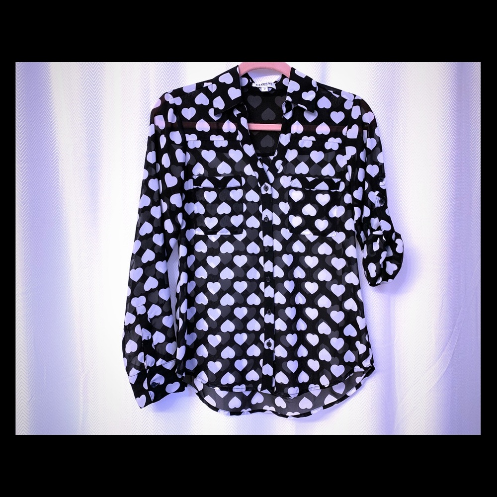 Express Portofino Sheer Blouse